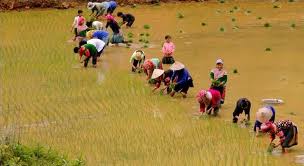 Lao Chai - Ta Van - Giang Ta Chai