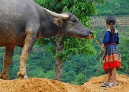 Sapa adventure tour