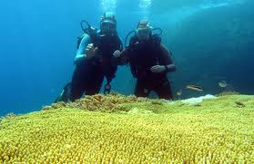 Nha Trang Diving Tour
