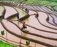 Sapa sightseeing tour