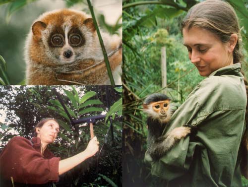 Ulrike StreicherEndangered Primate Rescue Center, Vietnam Motorbike Tour to Cuc Phuong National Park