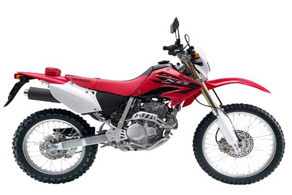 Learn more about our motorbike Honda XR250 - Learn more about our motorbike