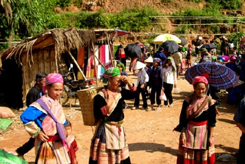sapa Bacha - SAPA