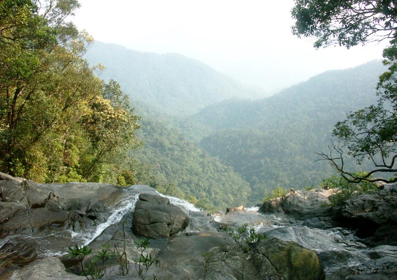 BACH MA NATIONAL PARK Bach Ma National Park - BACH MA NATIONAL PARK