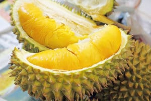 MY THO FRUIT MARKET