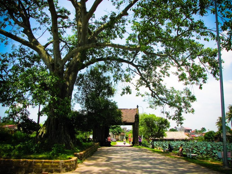 duong-lam-ancient-village duong-lam-ancient-village