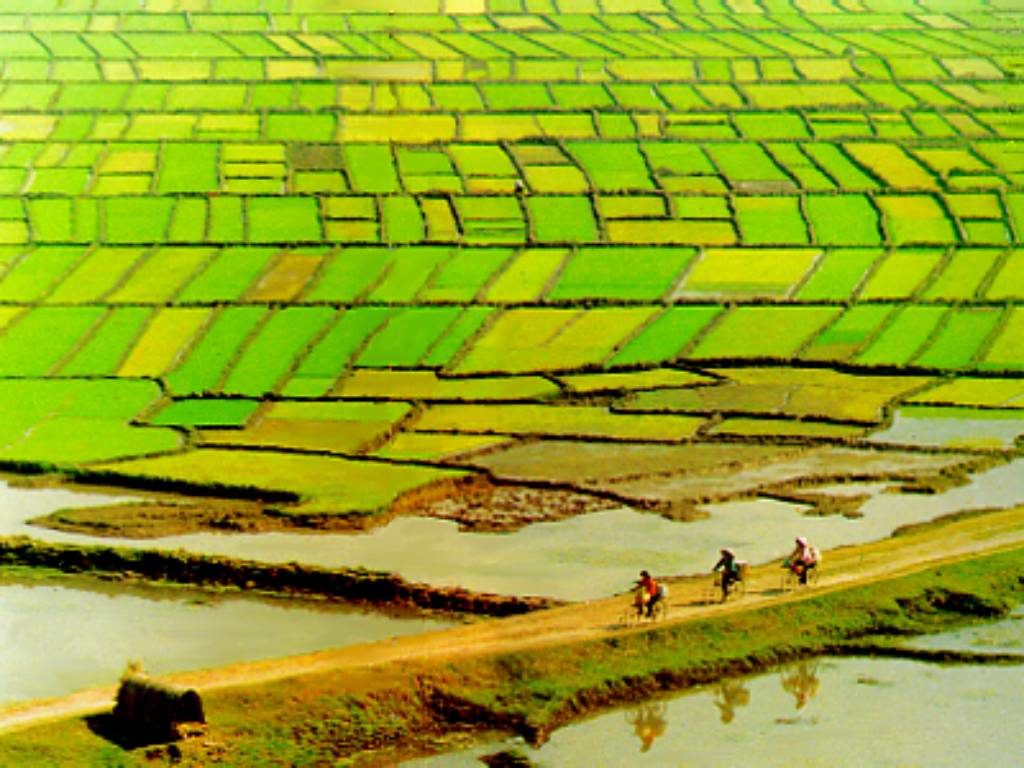 Long An 1024x768 - LONG AN PROVINCE