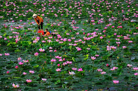 Thap Muoi in Tien Giang tien giang