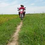 Vietnam Motorcycle Tours to explore hidden beauty of Mekong Delta