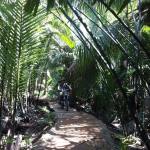 Saigon motorbike tour to Mekong delta