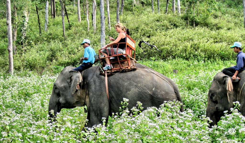 Riding elephant in jungles 1024x598 - Epic Laos Motorbike Tour to Local Villages, Caves, Rivers, And Elephants
