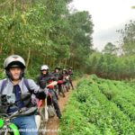 North east vietnam motorbike tour to son la cao bang 3 150x150 - Enjoyable Vietnam motorbike tour from Ha Noi to Lang Son