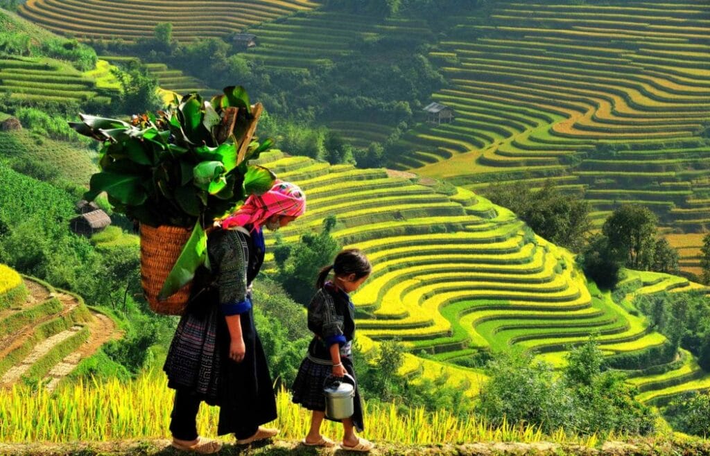 Rice terraces as far as the eye can see near Than Uyen. Rice terraces as far as the eye can see near Than Uyen.