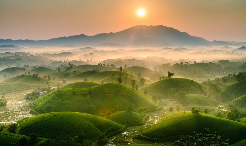 Mesmerising Vietnam Motorcycle Tour from Hanoi to Da Bac via Long Coc Tea Plantation Long Coc Tea Plantation 1024x610 - Mesmerising Vietnam Motorcycle Tour from Hanoi to Da Bac via Long Coc Tea Plantation