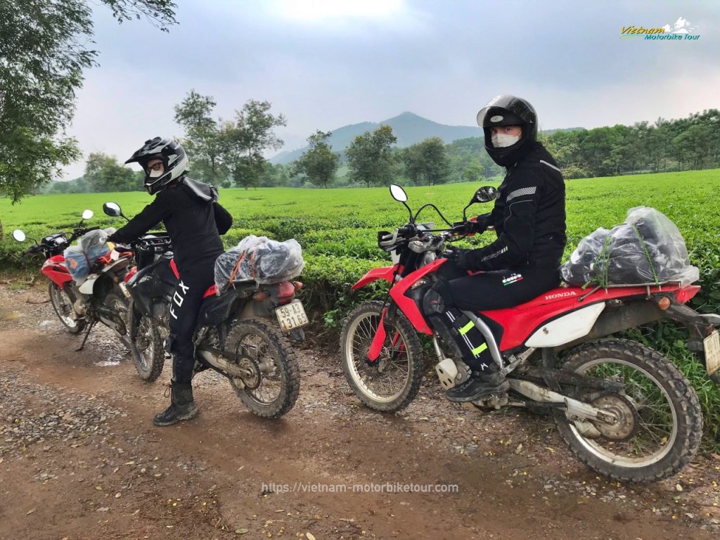 Picturesque Hanoi Motorbike Tour To Long Coc, Da Bac, Mai Chau, Pu Luong Motorbike tour Motorbike Tours to Long Coc Tea Plantation 1024x768 - Picturesque Hanoi Motorbike Tour To Long Coc, Da Bac, Mai Chau, Pu Luong