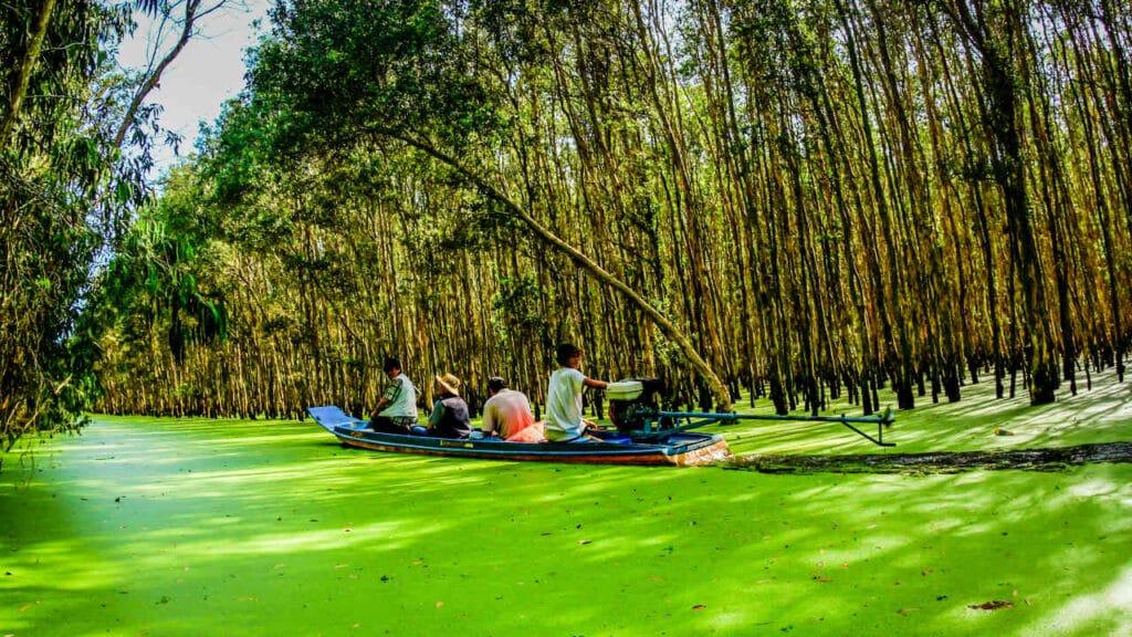 Best Highlights of Vietnam Motorbike Tour to Mekong Delta from Saigon Ecotourism in Tra Su Cajuput Forest 1024x576 - Best Highlights of Vietnam Motorbike Tour to Mekong Delta from Saigon
