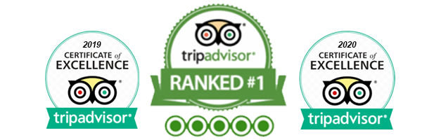 Tripadvisor Certificate - Homepage