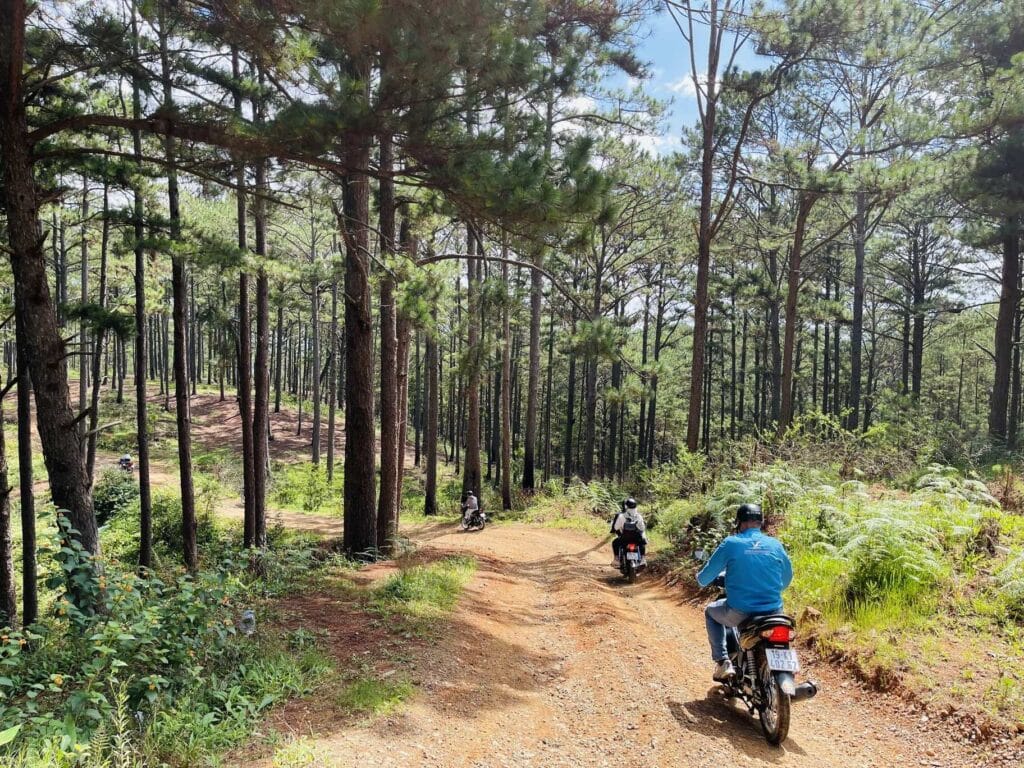 Why To Ride Motorbike From Saigon To Central Highlands To Visit Nam Cat Tien, Bao Loc, Da Lat, Pleiku, Buon Ma Thuot, Kon Tum ? central highland of vietnam motorbike tour to kon tum dalat 4 1024x768 - Why To Ride Motorbike From Saigon To Central Highlands To Visit Nam Cat Tien, Bao Loc, Da Lat, Pleiku, Buon Ma Thuot, Kon Tum ?