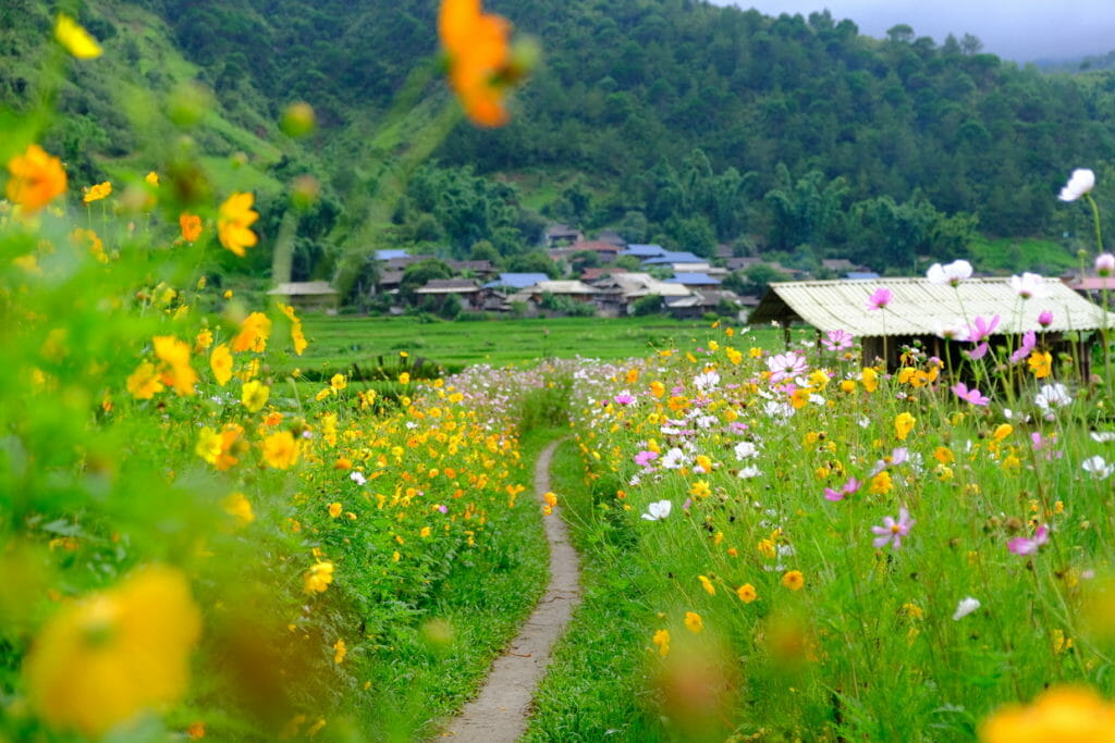 Top 7 Dishes You Must Try in Ngoc Chien, Muong La top 7 dishes you must try in ngoc chien muong la 1024x683 - Top 7 Dishes You Must Try in Ngoc Chien, Muong La