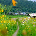 top-7-dishes-you-must-try-in-ngoc-chien-muong-la
