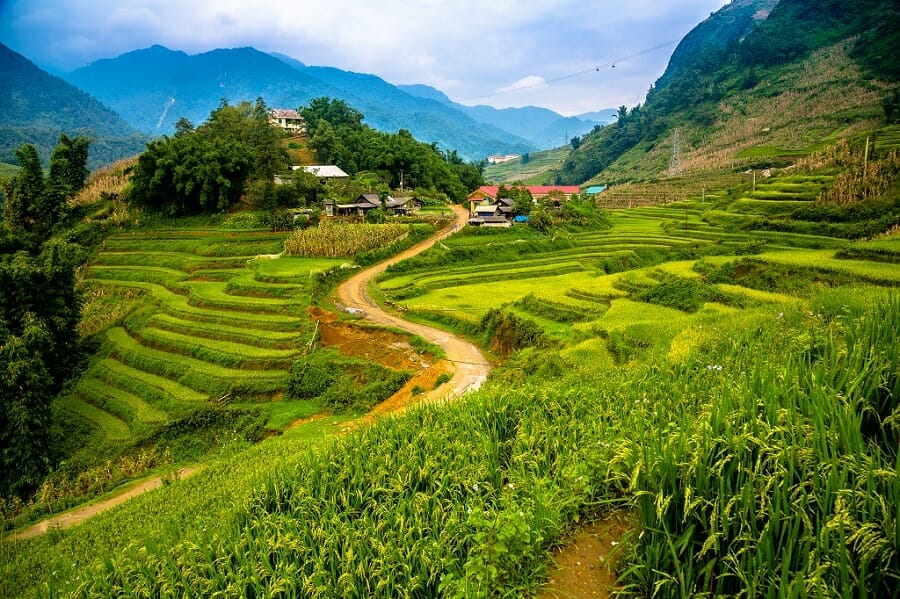 Vietnam Dirt Bike Tour to Sapa: A Breathtaking Adventure through the Clouds Sapa rice fields - Vietnam Dirt Bike Tour to Sapa: A Breathtaking Adventure through the Clouds