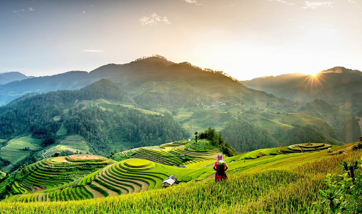 Vietnam Motorcycle Tours to Mu Cang Chai: A Journey Through Golden Terraces and Ethnic Heritage mu cang chai - Vietnam Motorcycle Tours to Mu Cang Chai: A Journey Through Golden Terraces and Ethnic Heritage