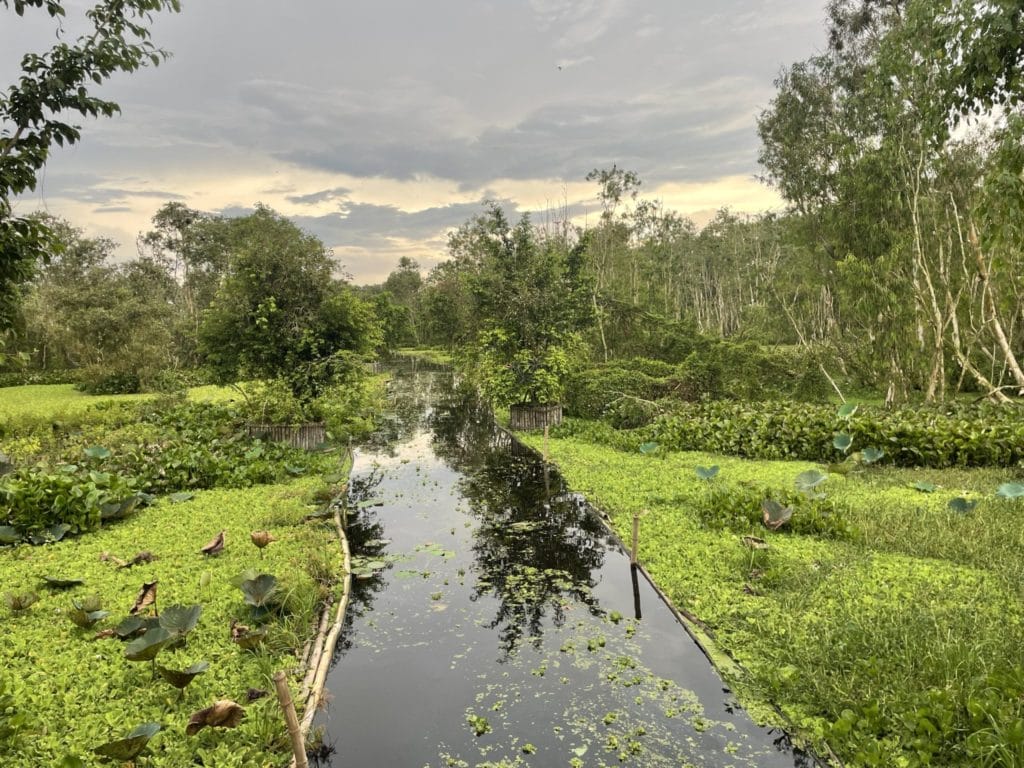 Top Reasons Why You Should Do a Saigon Motorbike Tour to Mekong Delta vietnam motorbike tours to saigon and mekong delta 4 1024x768 - Top Reasons Why You Should Do a Saigon Motorbike Tour to Mekong Delta