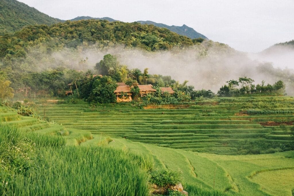 Vietnam Dirt Bike Tours to Pu Luong: An Off-Road Adventure into Untouched Nature Pu luong 1024x683 - Vietnam Dirt Bike Tours to Pu Luong: An Off-Road Adventure into Untouched Nature