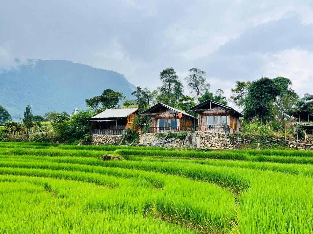 The Ultimate Guide to Accommodations in Northern Vietnam Homestay in Ta Van Village - The Ultimate Guide to Accommodations in Northern Vietnam